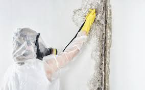 Best Residential Mold Inspection & Testing  in Whiteman Af, MO